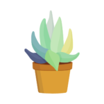 aloe-vera