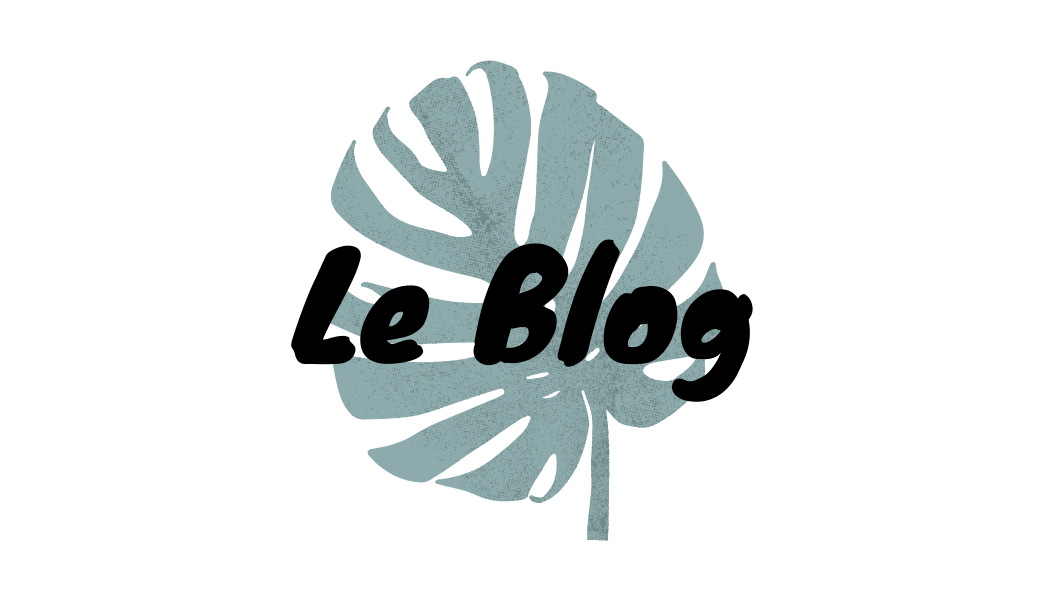 baniere-le-blog baniere