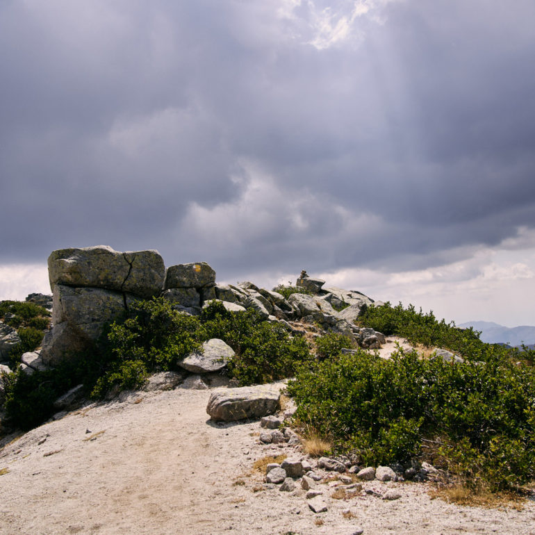 DSC00934 - 08-08-20