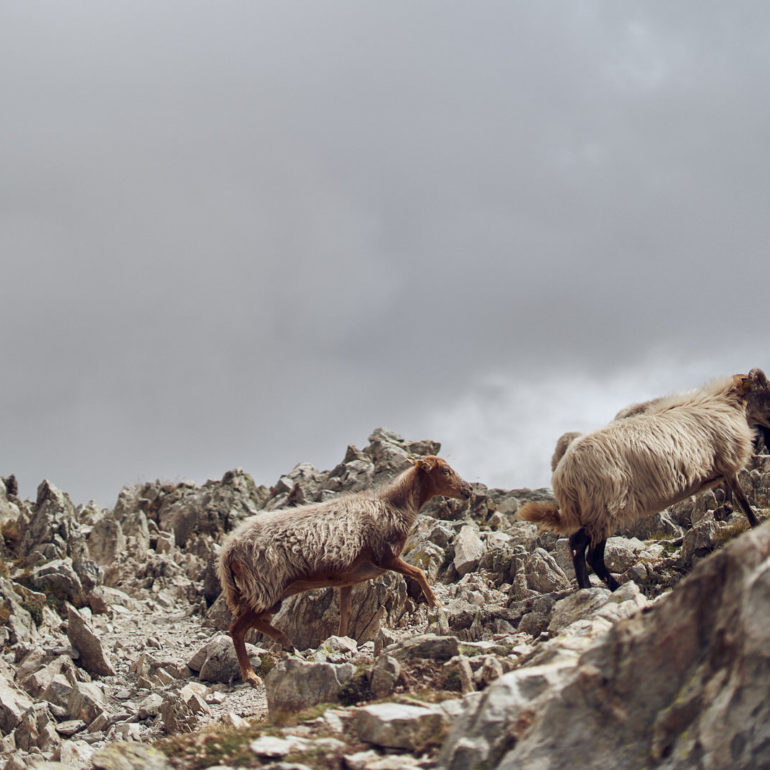 cretes-gr20-rando