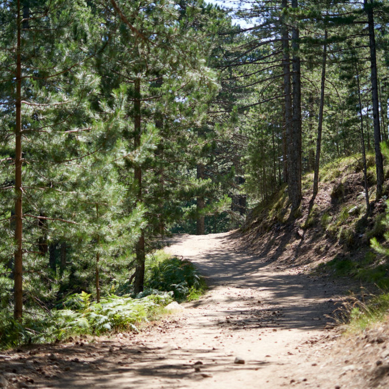 etape-conca-gr20