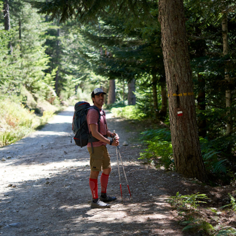 forêt-gr20