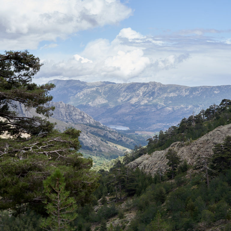 paysage-gr20