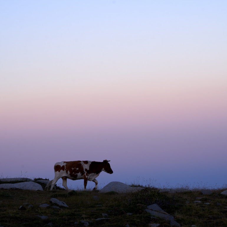 sunset-prati