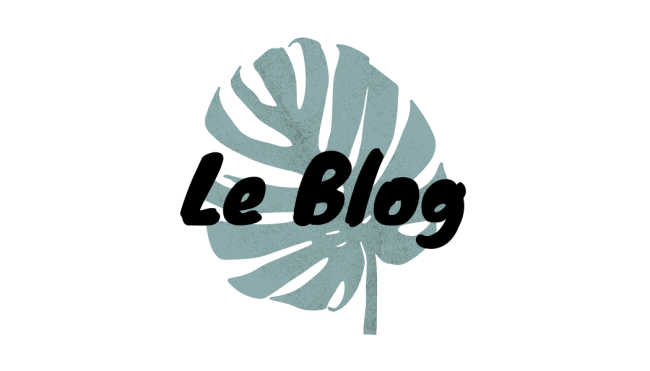 baniere-le-blog baniere