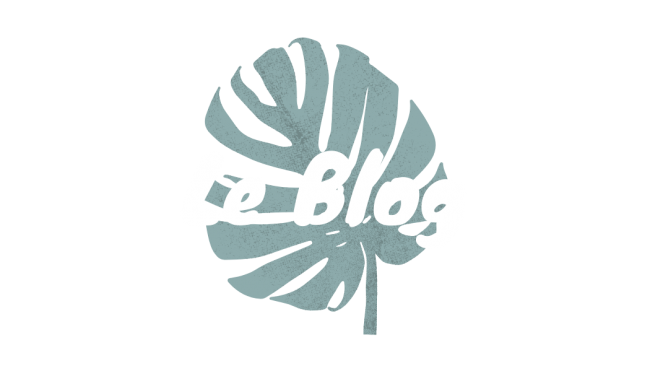 logo-blog-blanc logo-blog-blanc